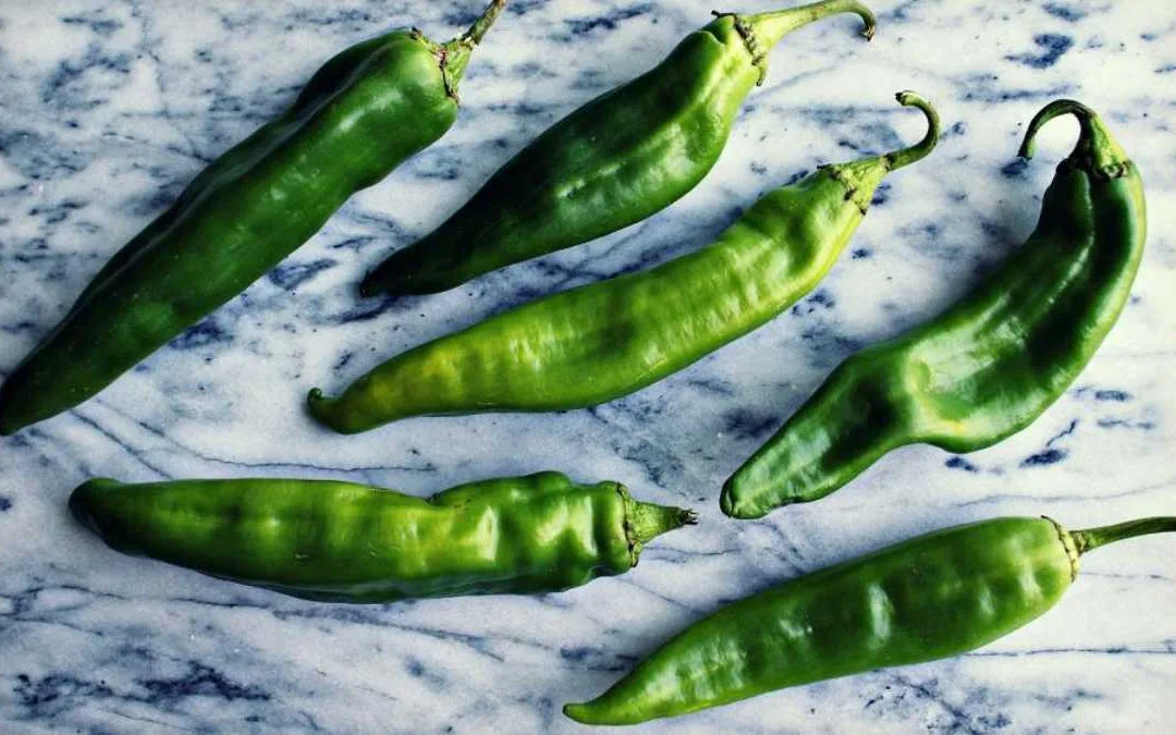 A Hatch Chile Makes Great Content Strategy