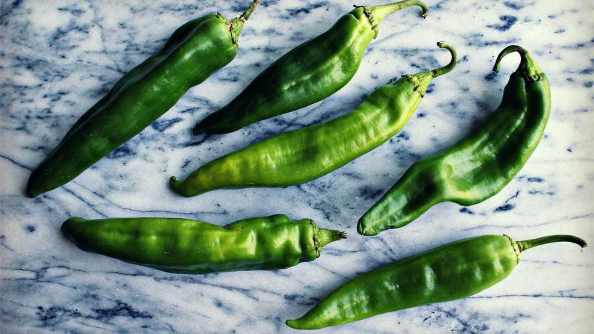 A Hatch Chile Makes Great Content Strategy