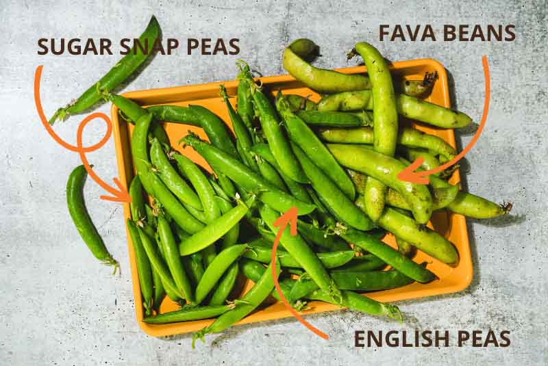 Ingredient photo of English peas, sugar snap peas & fava beans from the farmers' market