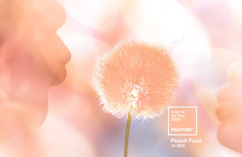 Pantone's Peach Fuzz Color of the Year for 2024